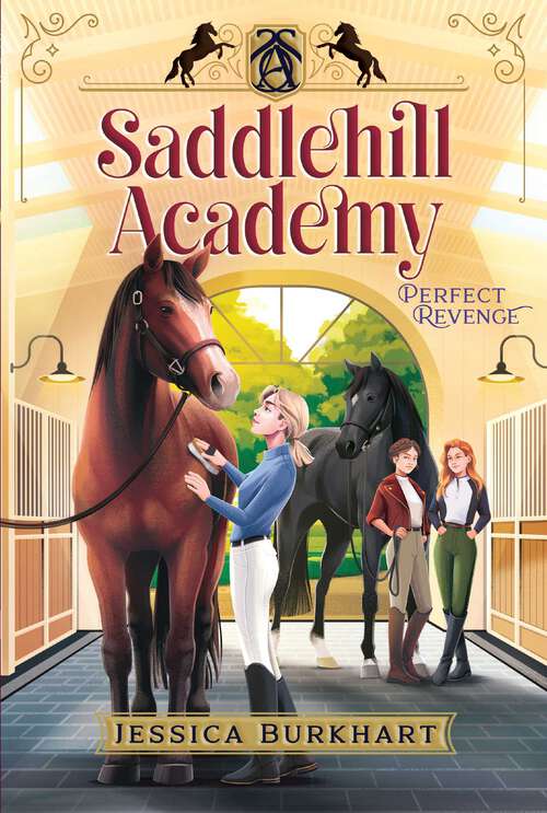 Book cover of Perfect Revenge (Saddlehill Academy #4)