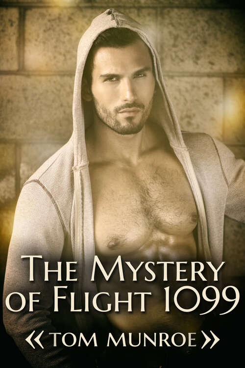 Book cover of The Mystery of Flight 1099