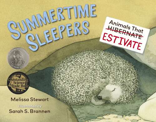 Book cover of Summertime Sleepers