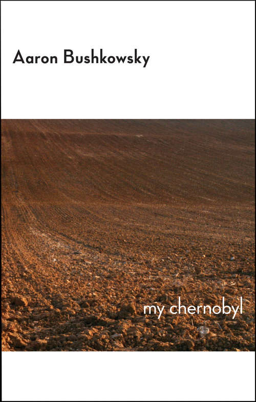 Book cover of My Chernobyl