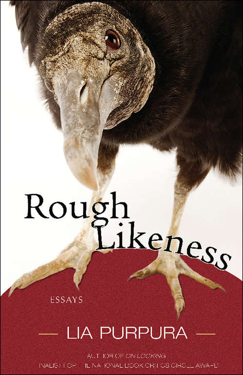 Book cover of Rough Likeness: Essays