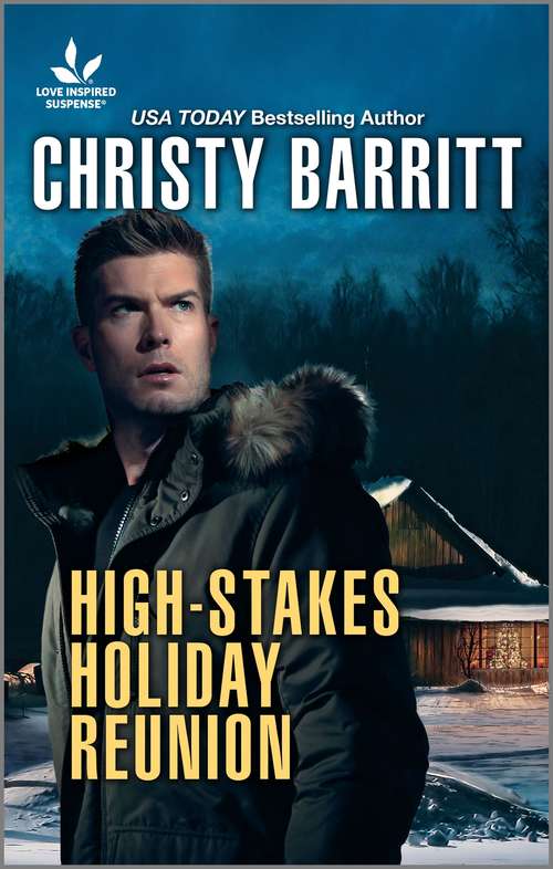 Book cover of High-Stakes Holiday Reunion: High-stakes Holiday Reunion Yuletide Jeopardy (Original) (The\security Experts Ser. #3)