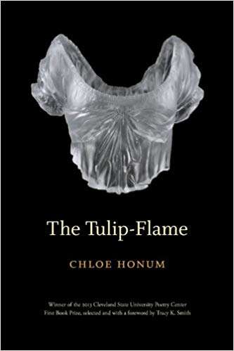 Book cover of The Tulip-Flame