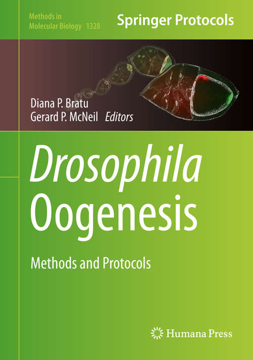 Book cover of Drosophila Oogenesis