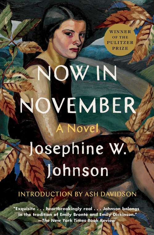 Book cover of Now in November: A Novel