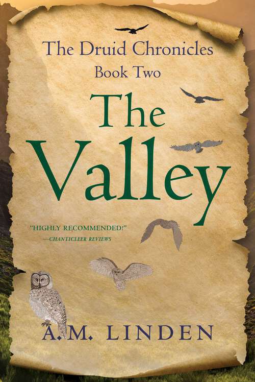 Book cover of The Valley: The Druid Chronicles, Book Two (The Druid Chronicles)