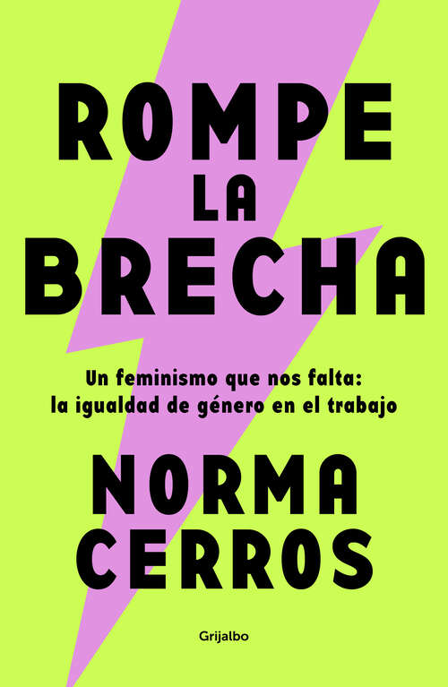 Book cover of Rompe la brecha: Un feminismo que nos falta: la igualdad de género en el trabajo