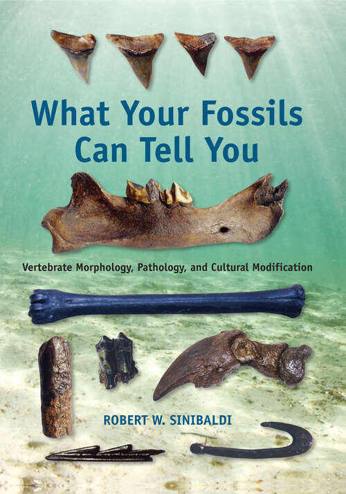 Book cover of What Your Fossils Can Tell You: Vertebrate Morphology, Pathology, and Cultural Modification