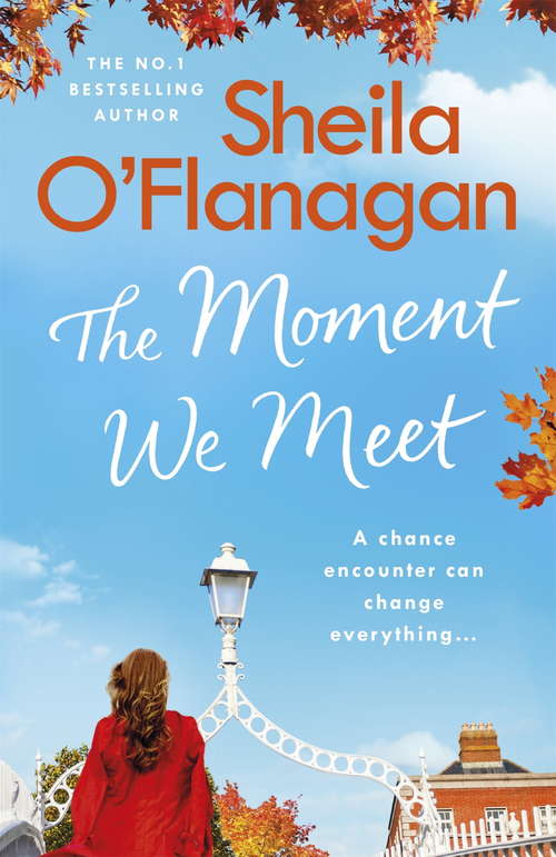 Book cover of The Moment We Meet