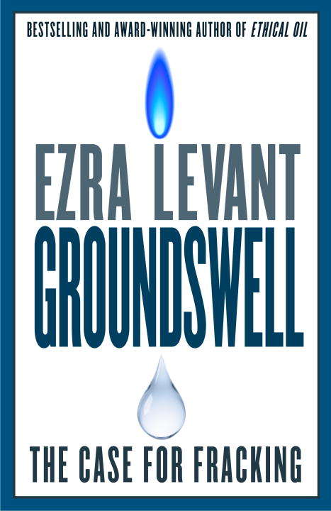 Book cover of Groundswell