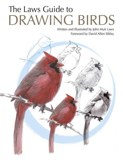 Book cover of The Laws Guide to Drawing Birds