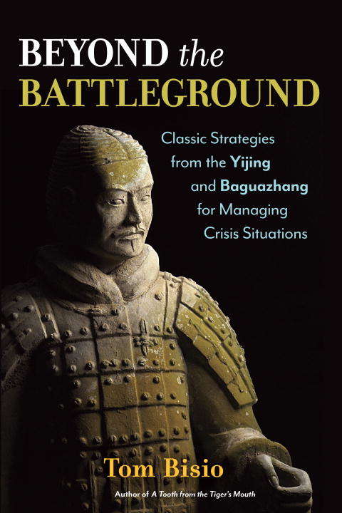 Book cover of Beyond the Battleground