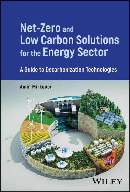 Book cover of Net-Zero and Low Carbon Solutions for the Energy Sector: A Guide to Decarbonization Technologies