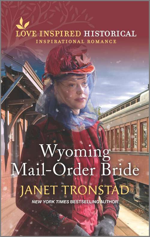 Book cover of Wyoming Mail-Order Bride (Original)