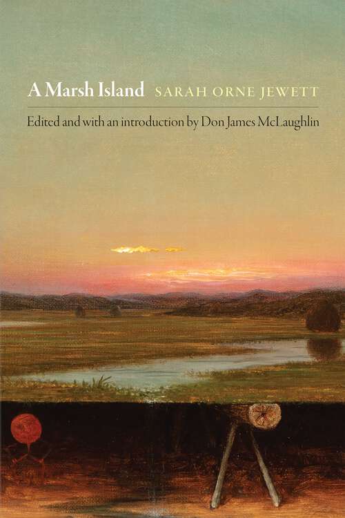Book cover of A Marsh Island (Q19: The Queer American Nineteenth Century)