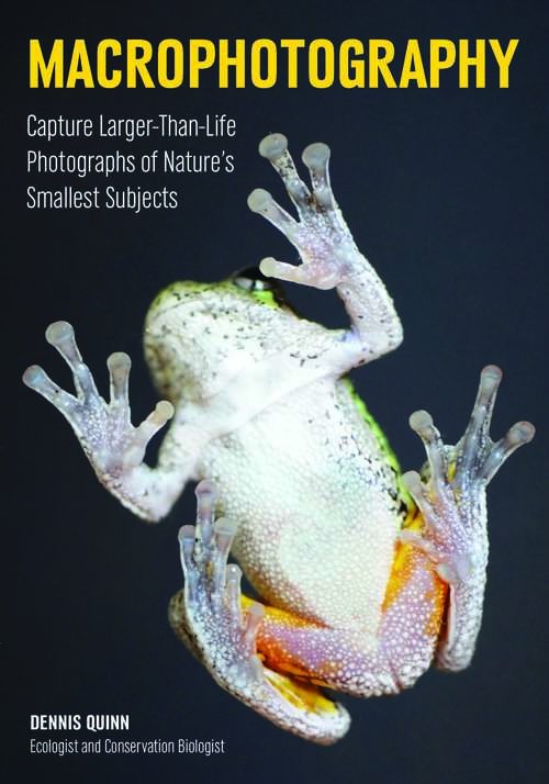 Book cover of Macrophotography