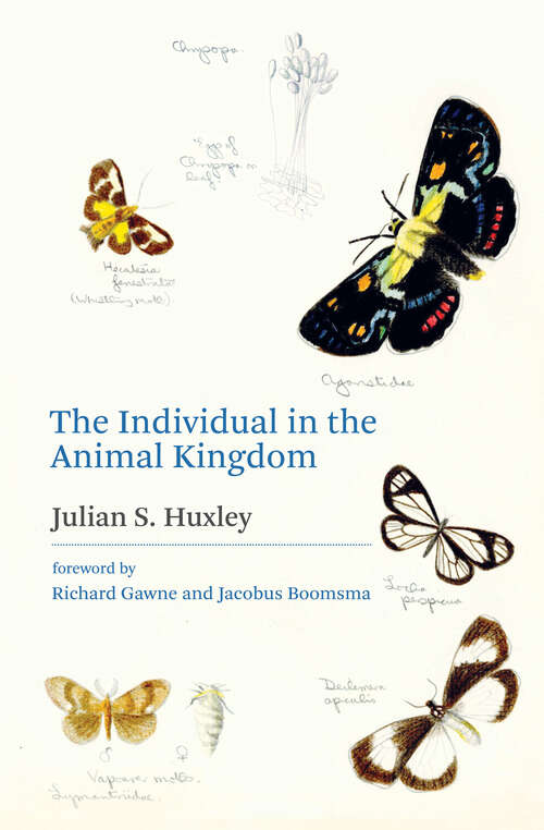 Book cover of The Individual in the Animal Kingdom (Barnes And Noble Digital Library)