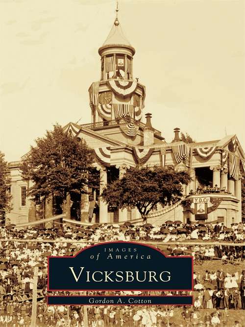 Book cover of Vicksburg