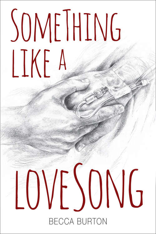 Book cover of Something Like a Love Song