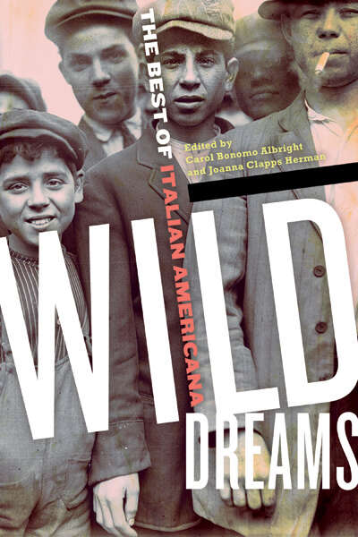 Book cover of Wild Dreams: The Best of Italian Americana (2)