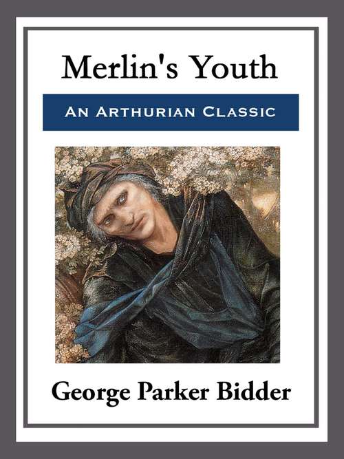 Book cover of Merlin's Youth