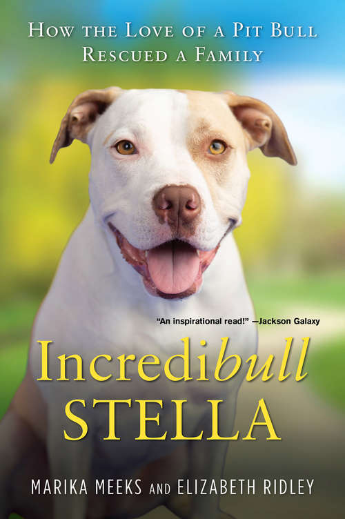 Book cover of Incredibull Stella: How the Love of a Pit Bull Rescued a Family