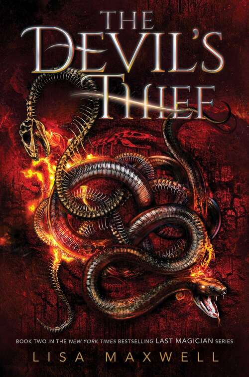 Book cover of The Devil's Thief (The Last Magician #2)