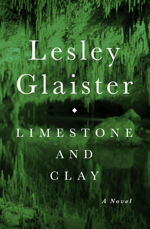 Book cover of Limestone and Clay: A Novel