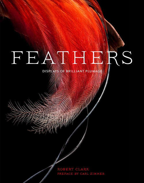 Book cover of Feathers: Displays of Brilliant Plumage