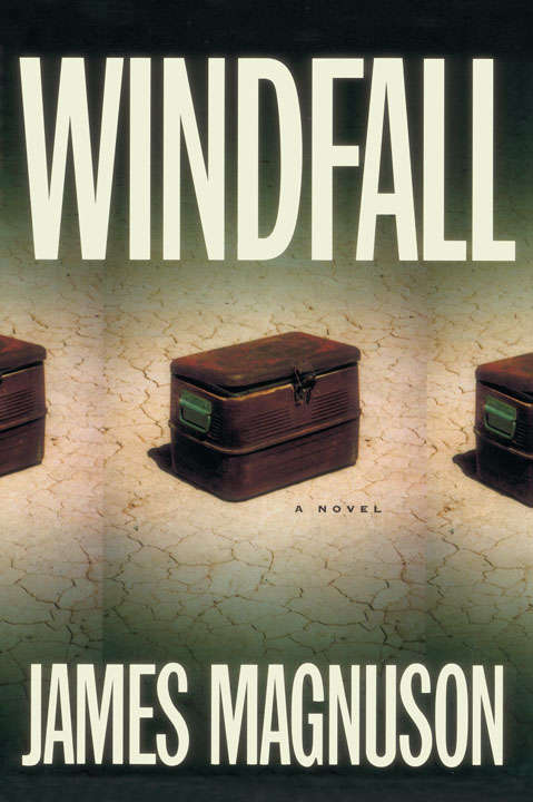 Book cover of Windfall: A Novel