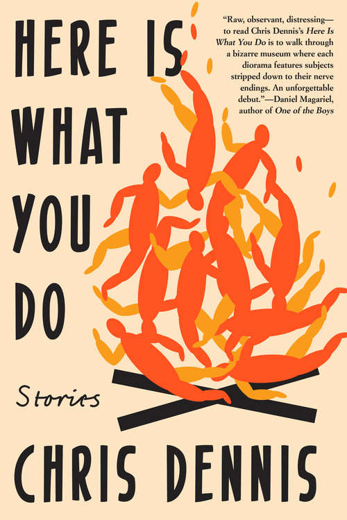 Book cover of Here Is What You Do: Stories