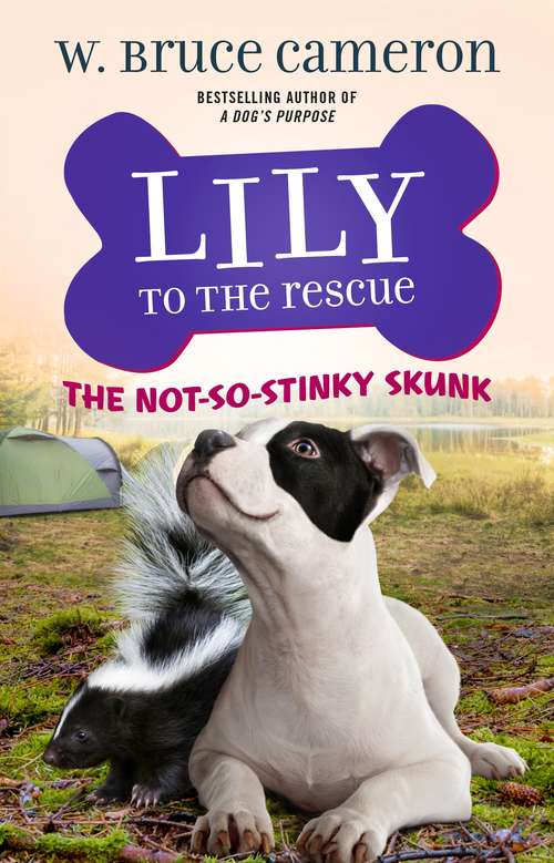 Book cover of Lily to the Rescue: The Not-So-Stinky Skunk (Lily to the Rescue! #3)