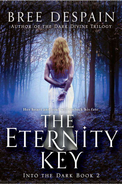 Book cover of Into the Dark Book #2: The Eternity Key
