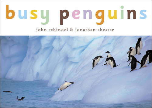 Book cover of Busy Penguins