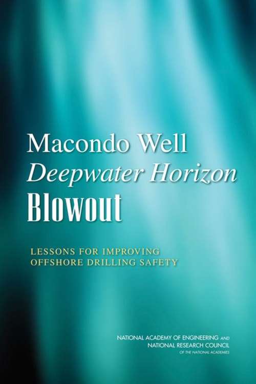 Book cover of Macondo Well Deepwater Horizon Blowout