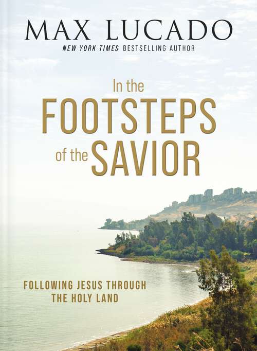 Book cover of In the Footsteps of the Savior: Following Jesus Through the Holy Land