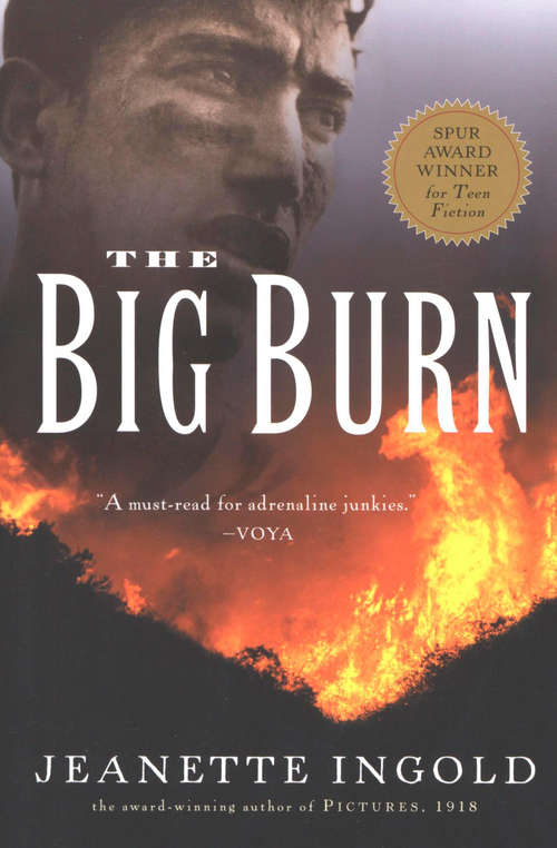 Book cover of The Big Burn