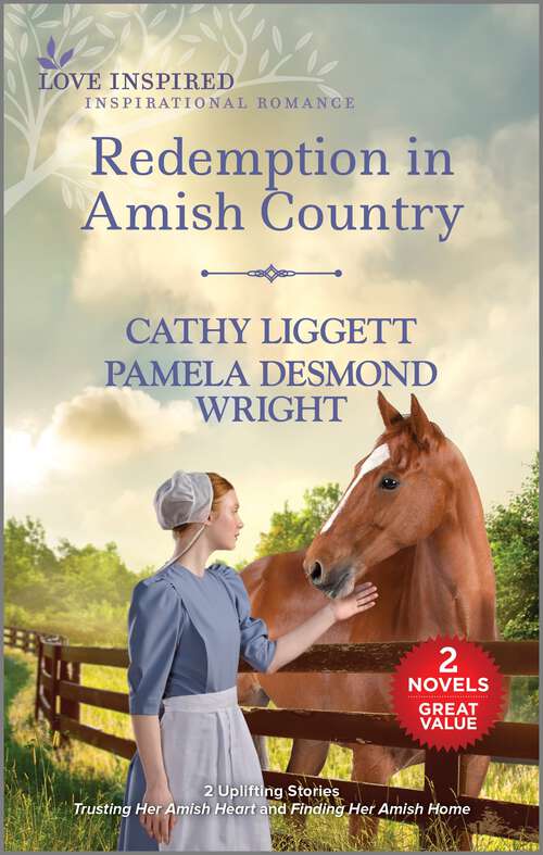 Book cover of Redemption in Amish Country (Reissue)