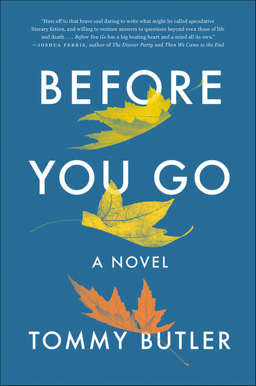 Book cover of Before You Go: A Novel