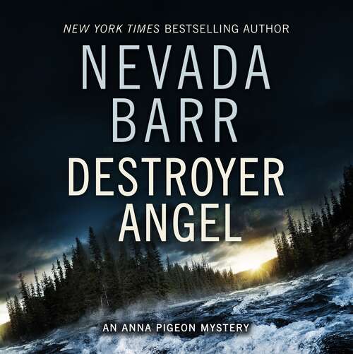 Book cover of Destroyer Angel: A suspenseful thriller of the American wilderness (Anna Pigeon Mysteries #18)