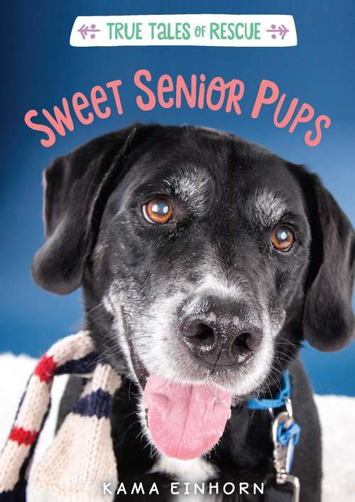 Book cover of Sweet Senior Pups (True Tales of Rescue)