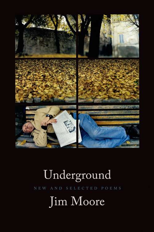 Book cover of Underground: New and Selected Poems