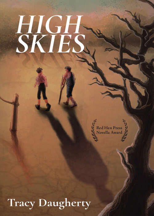 Book cover of High Skies