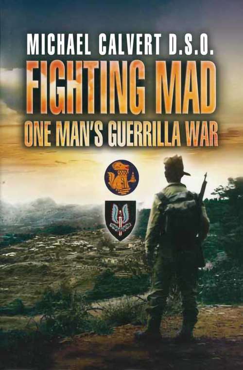 Book cover of Fighting Mad: One Man's Guerrilla War (2)