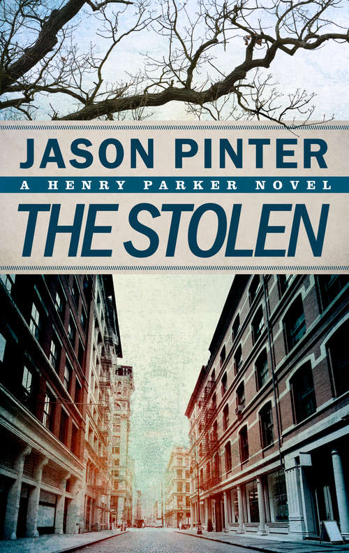 Book cover of The Stolen