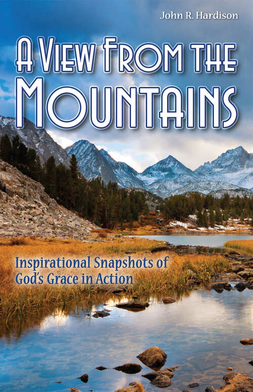 Book cover of A View From the Mountains: Inspirational Snapshots of God's Grace in Action