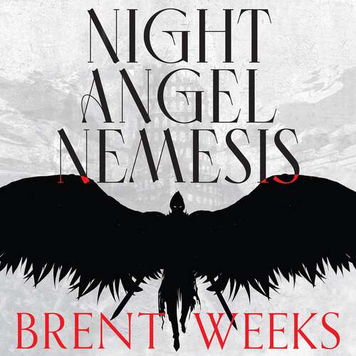 Book cover of Night Angel Nemesis