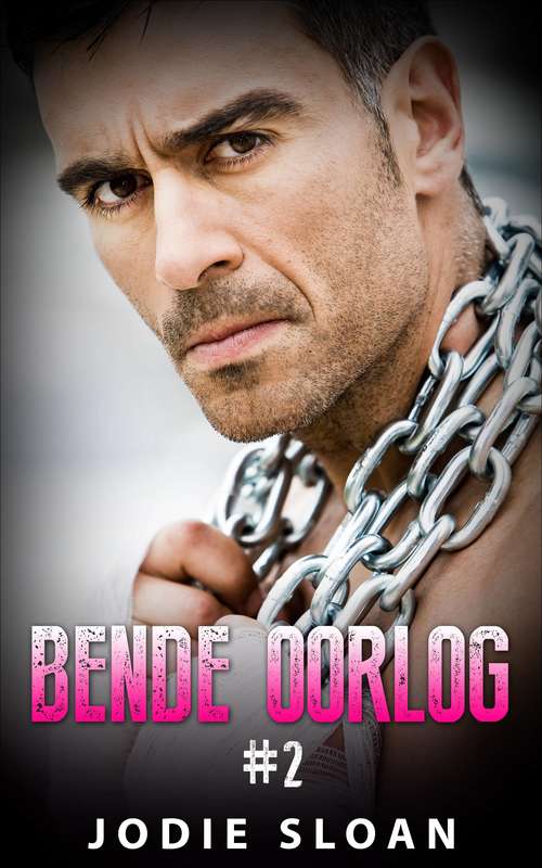 Book cover of Bende Oorlog #2