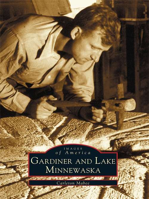 Book cover of Gardiner and Lake Minnewaska (Images of America)