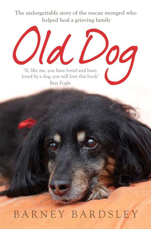 Book cover of Old Dog